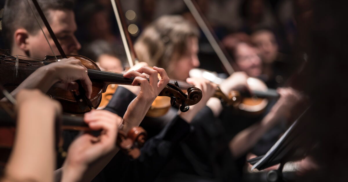 Özel Orkestra & Klasik Müzik