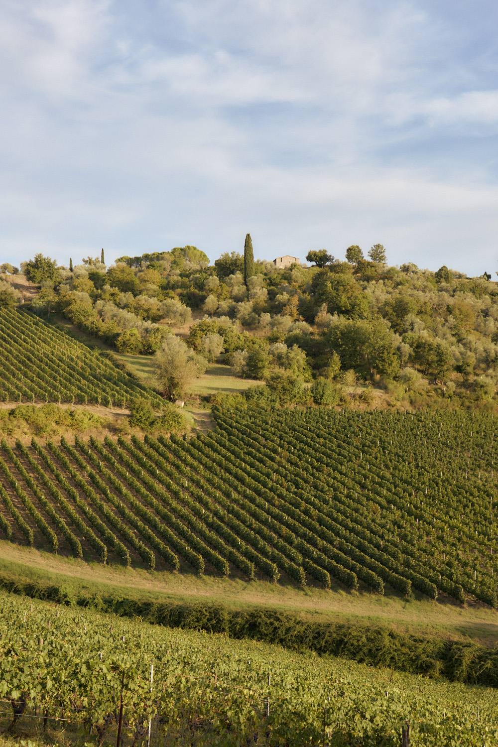 Casetta nel Chianti — 2