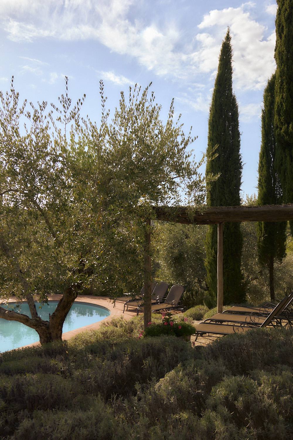 Casetta nel Chianti — 8
