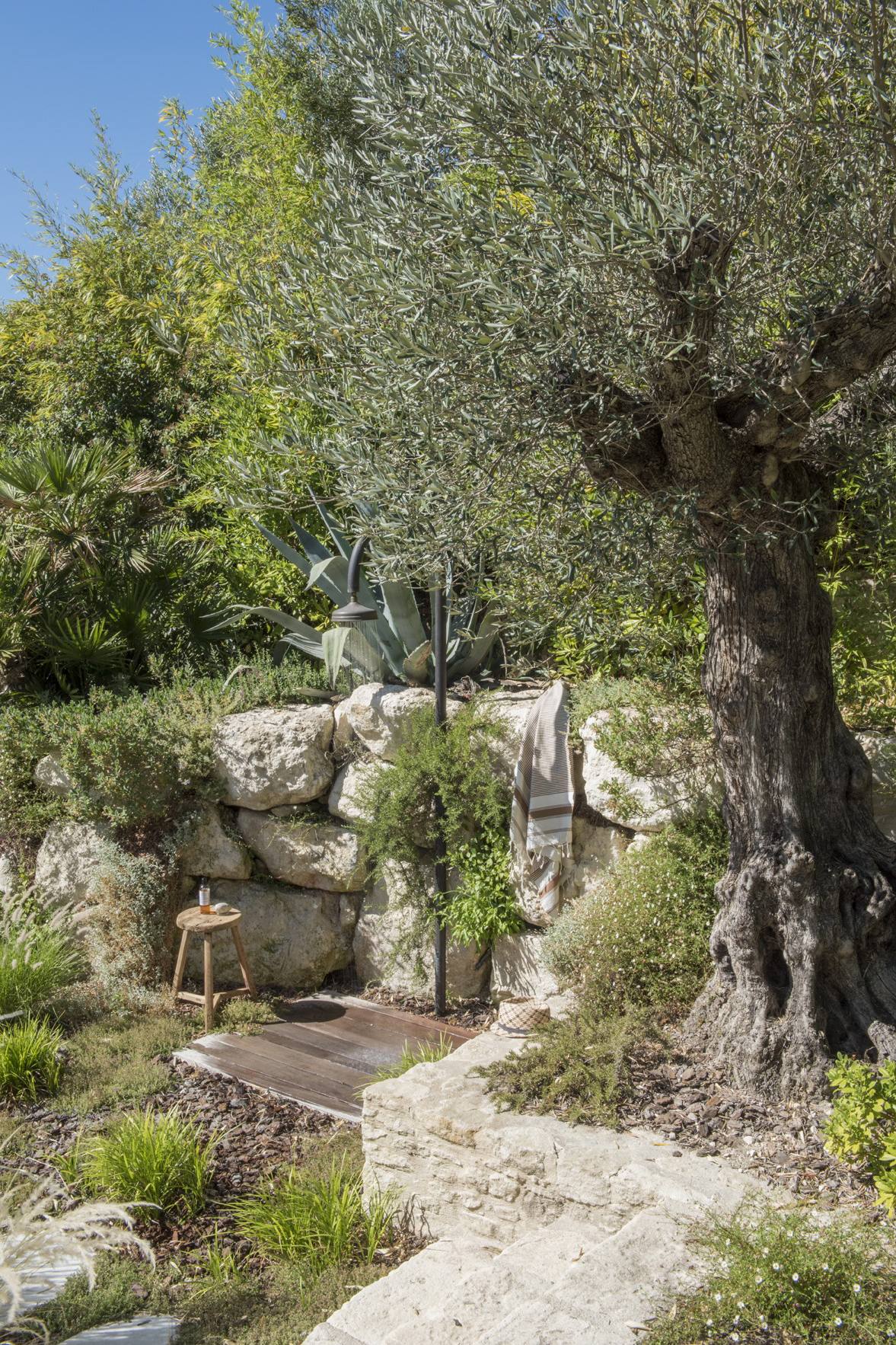 La Maison Paradis — 6
