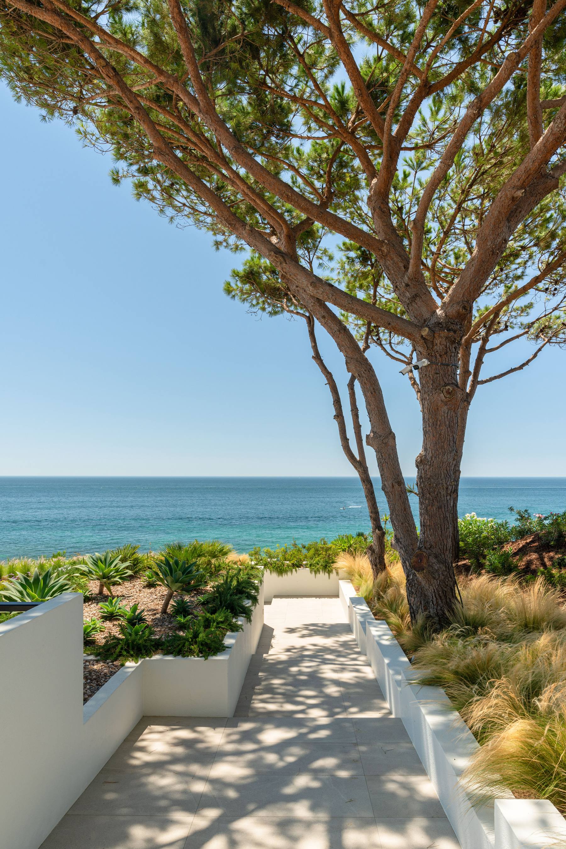 Leao Hous — 6
