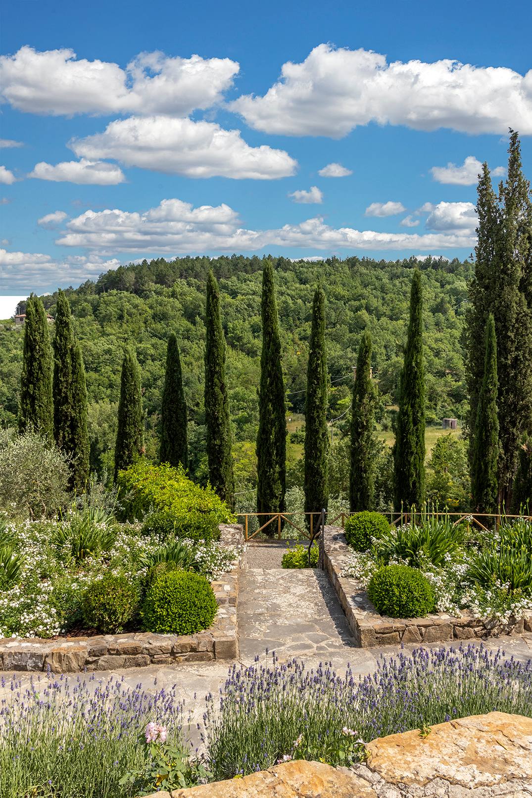 Tenuta Ceccatelli — 9